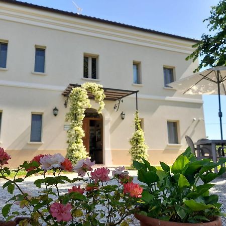 Villa Marietta Country House - Marche Montemaggiore al Metauro Exteriér fotografie