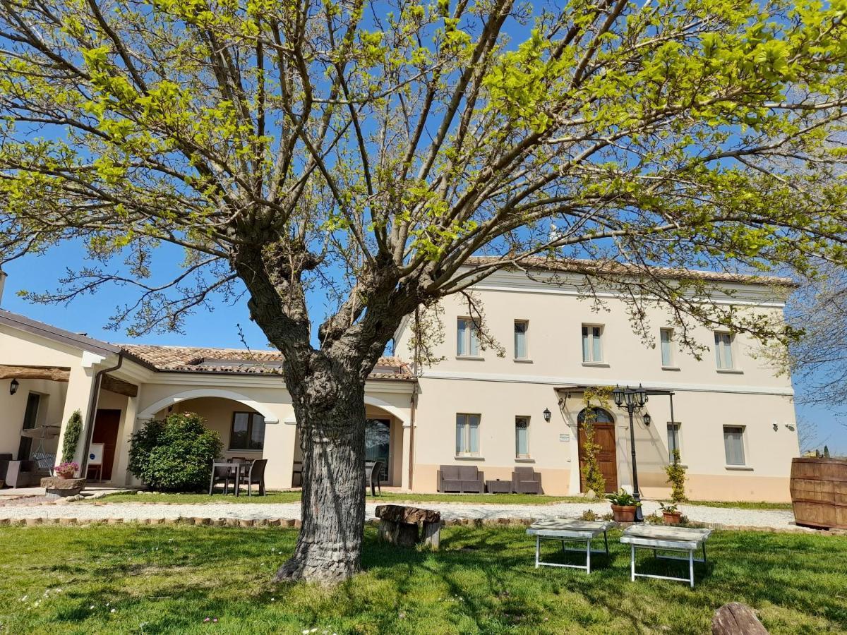 Villa Marietta Country House - Marche Montemaggiore al Metauro Exteriér fotografie
