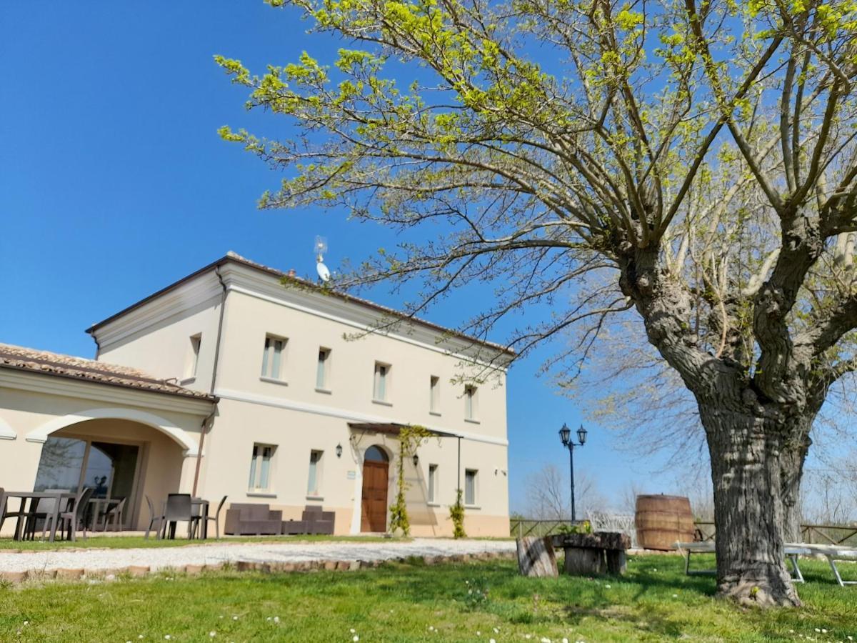 Villa Marietta Country House - Marche Montemaggiore al Metauro Exteriér fotografie