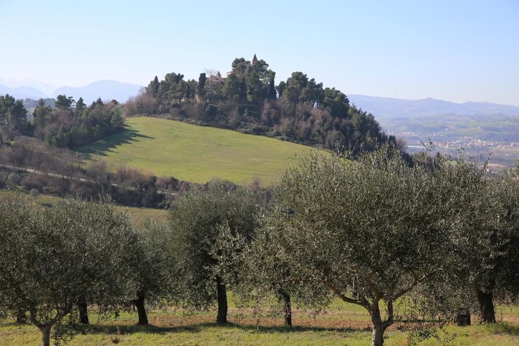 Villa Marietta Country House - Marche Montemaggiore al Metauro Exteriér fotografie