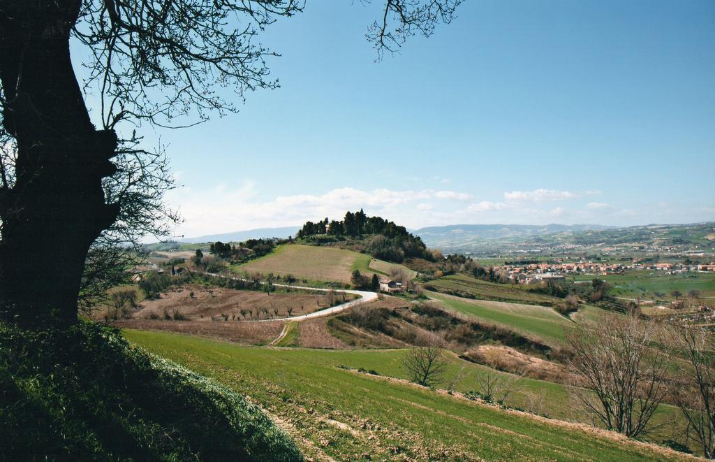 Villa Marietta Country House - Marche Montemaggiore al Metauro Exteriér fotografie